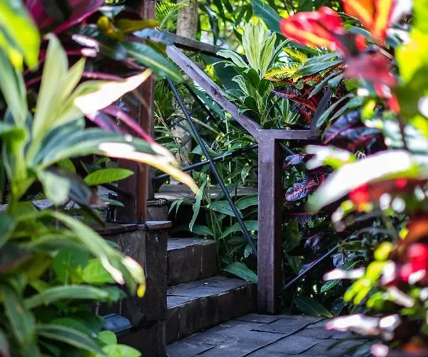 Wu Wei - Luxurious Boutique Sanctuary Ubud (Bali)